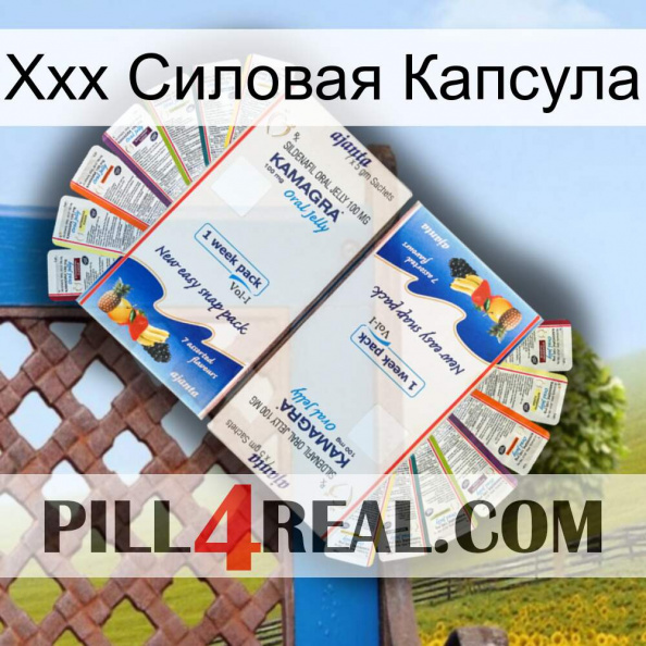 Ххх Силовая Капсула kamagra1.jpg